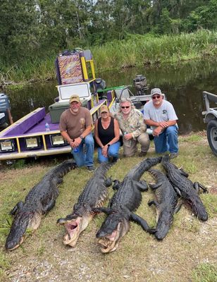 Alligator Hunts in Louisiana 